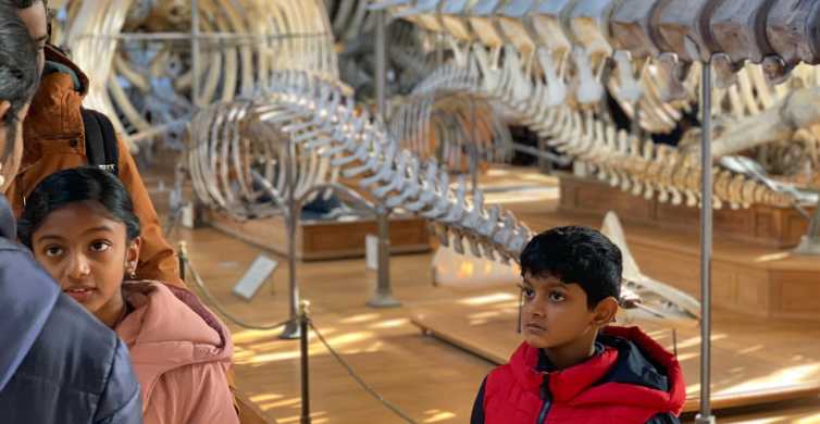 Parigi: tour dei dinosauri al Museo di Storia Naturale