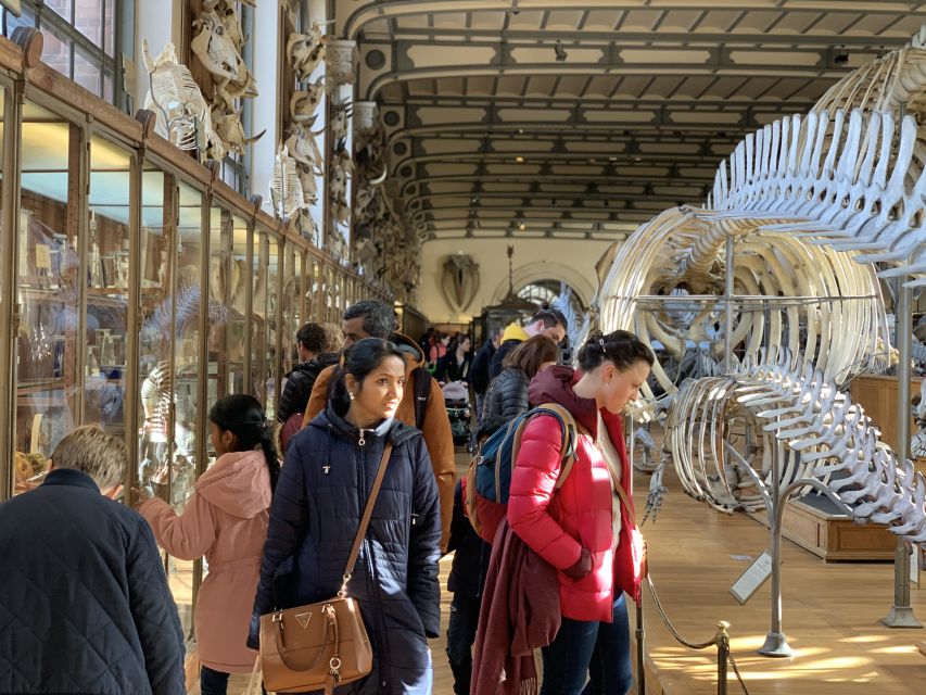 Paris : visite en famille au Muséum d'histoire naturelle 