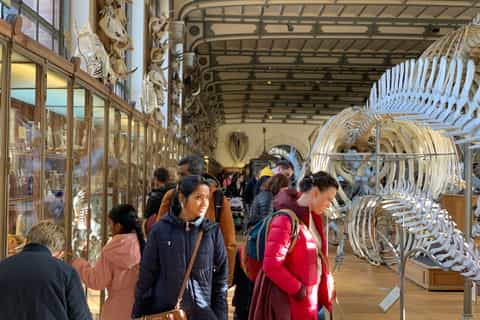 Paris: Tour Dinossauro em Família no Museu de História Natural