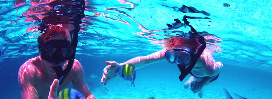 Depuis les Émirats arabes unis : Musandam Khasab Excursion d'observation des dauphins avec déjeuner