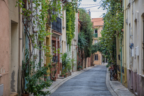 Tour privato a piedi del centro storico di NizzaTour pubblico a piedi del vecchio quartiere di Nizza