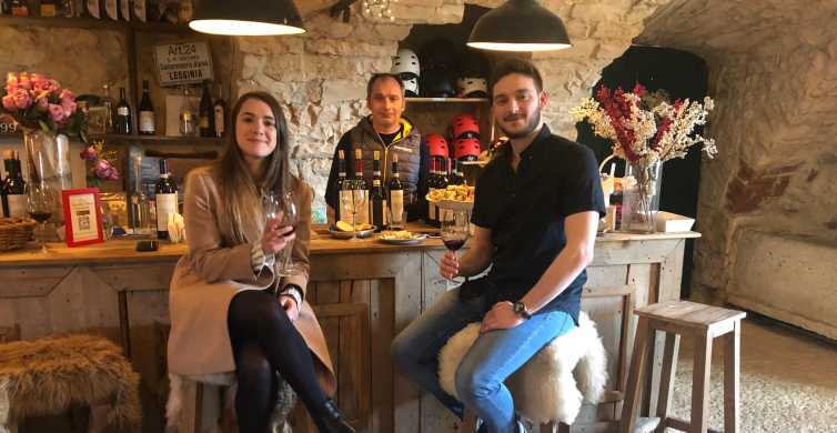 Verona: Vineyard and Winery Tour with Wine Tasting