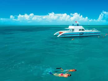Key West: 2 Schnorchelstopps am Riff Key West: 2 Schnorchelstopps am Riff