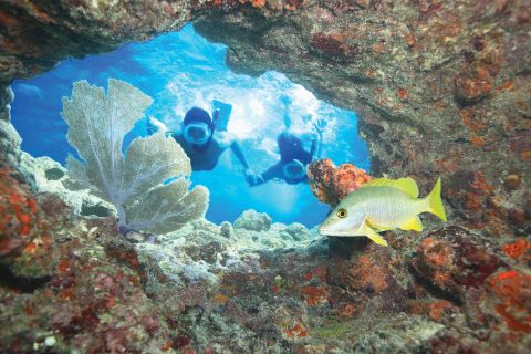 Key West Double Dip: 2-Stop Reef Snorkeling Trip