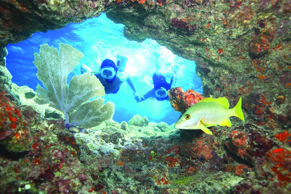  Key West Double Dip: 2-Stop Reef Snorkeling Trip 