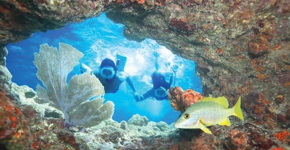 Key West Double Dip: 2-Stop Reef Snorkeling Trip