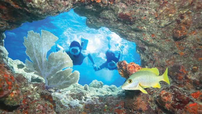 key west double dip 2stop reef snorkeling trip