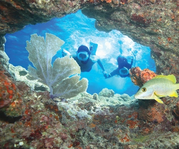 Key West Double Dip: 2-Stop Reef Snorkeling Trip
