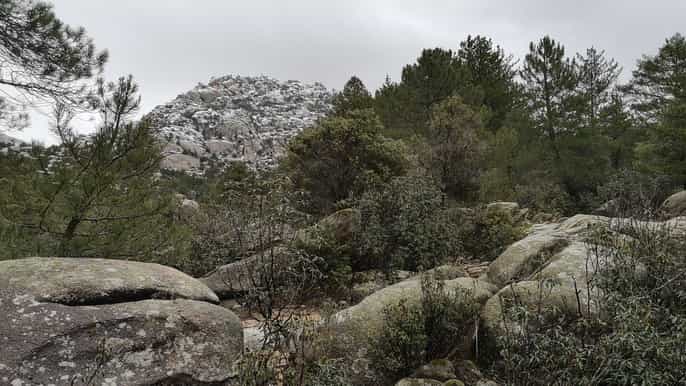 from madrid day trip to guadarrama national park
