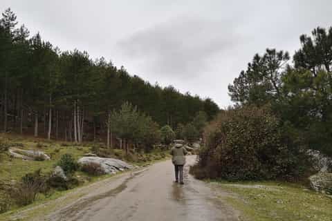 From Madrid: Day Trip to Guadarrama National Park