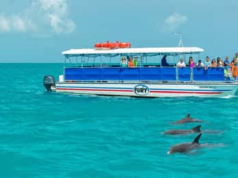 Key West: Delfinbeobachtung und Schnorcheltour Key West: Delfinbeobachtung und Schnorcheltour