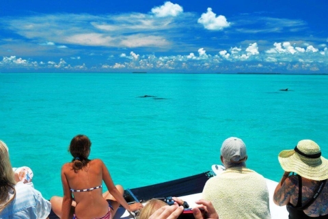 Key West : croisière aux dauphins et plongée avec tuba