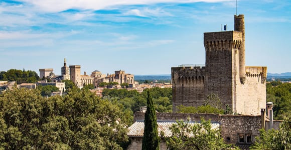 Avignon: Private Tour - Geschichte und Kulturerbe entdecken