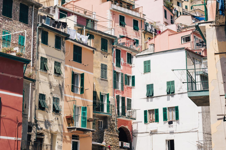 Z Florencji: prywatna wycieczka do Pizy i Cinque TerrePrywatna wycieczka po Cinque Terre i Pizie