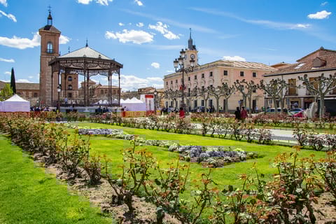 Madrid: Half-Day Alcalá de Henares Tour