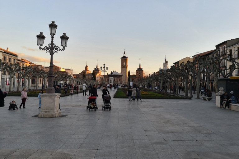 Madrid: excursión de medio día a Alcalá de Henares
