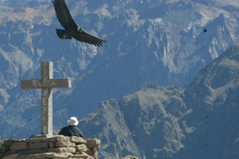 Arequipa: 2-tägige Colca Canyon Tour