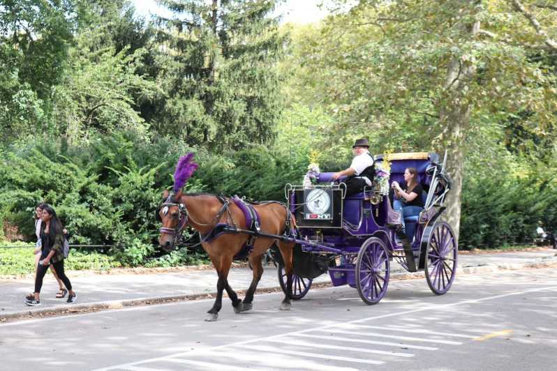 NYC: Central Park Horse-Drawn Carriage Ride with Photos