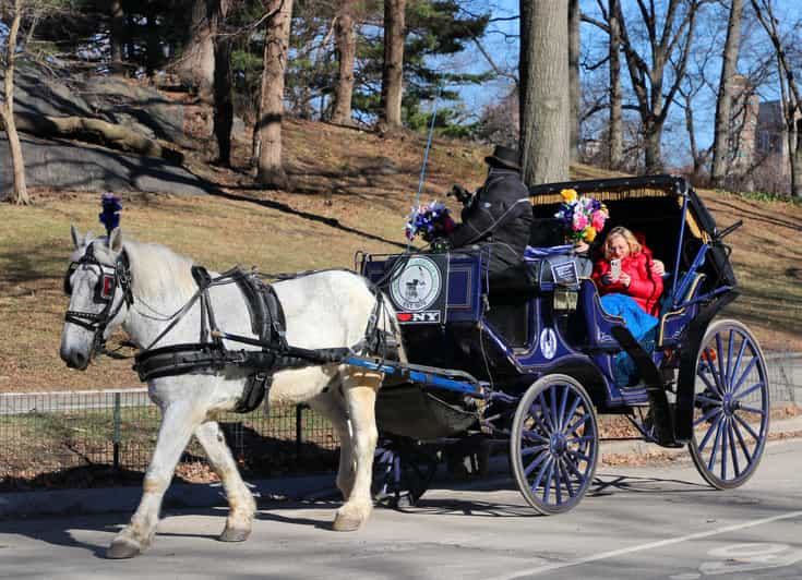 NYC Central Park HorseDrawn Carriage Ride with Photos GetYourGuide