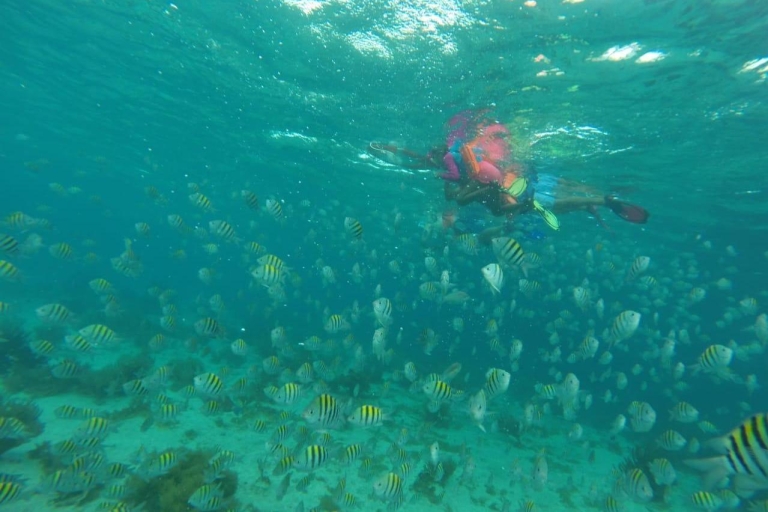 Cancún: 3-stündige Schnorcheltour mit Unterwasser-Museum