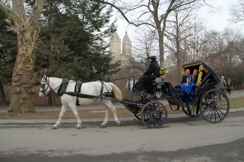NYC Horse Carriage Ride in Central Park (65 min) GetYourGuide