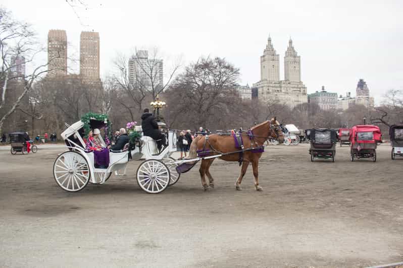 NYC Central Park HorseDrawn Carriage Ride with Photos GetYourGuide