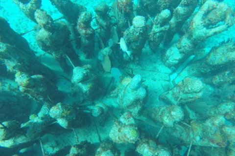 Cancun: 3-godzinne nurkowanie z rurką w podwodnym muzeum i rafie koralowej