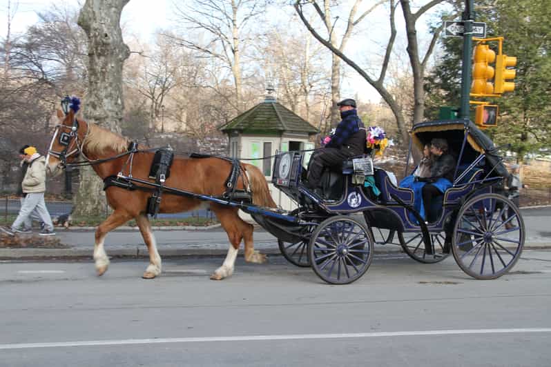 NYC Central Park HorseDrawn Carriage Ride with Photos GetYourGuide