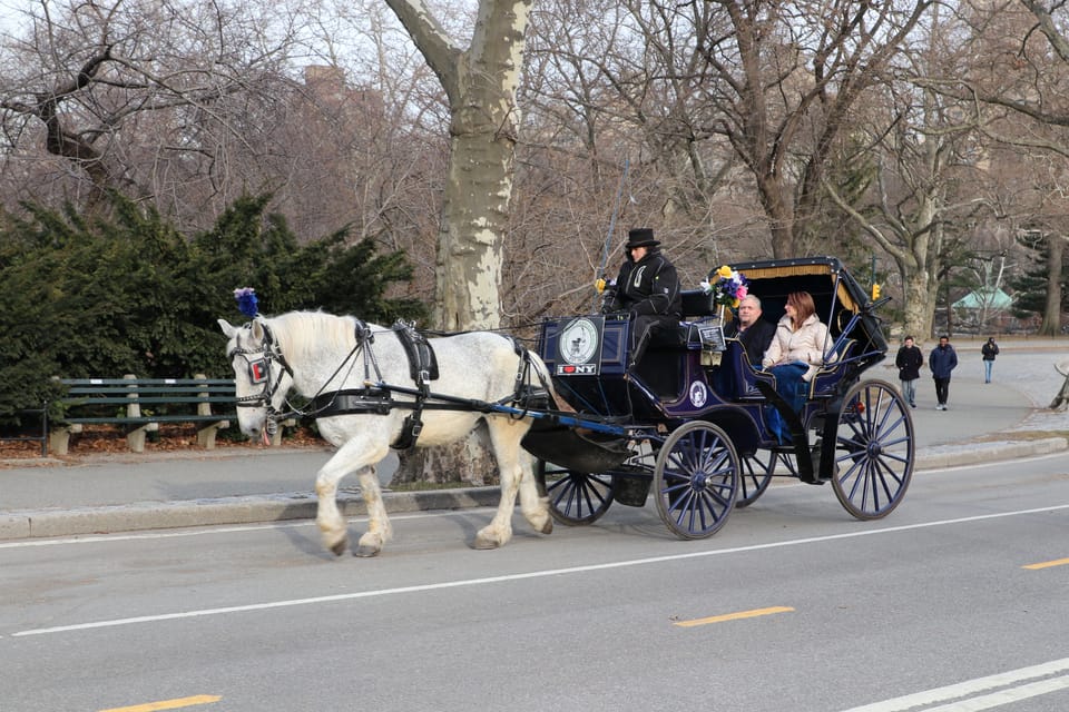 NYC Horse Carriage Ride in Central Park (65 min) GetYourGuide