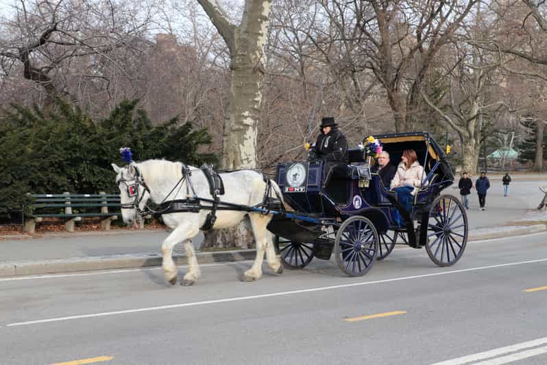NYC Central Park HorseDrawn Carriage Ride with Photos GetYourGuide