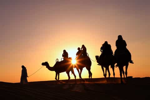 dubai sunrise camel trek with breakfast