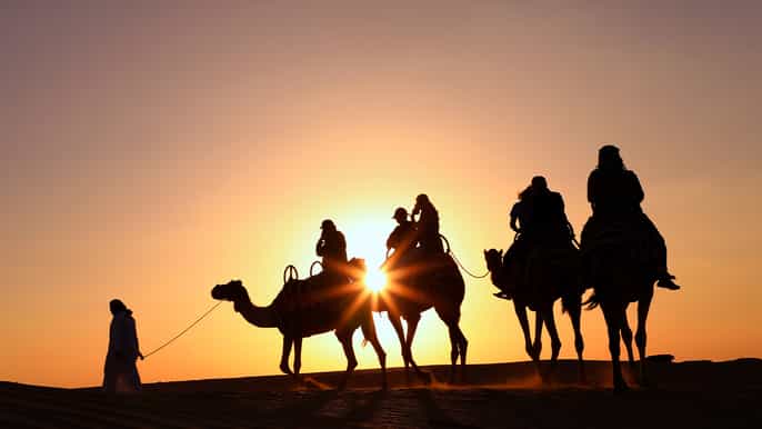dubai kamelridetur i soloppgang med frokost