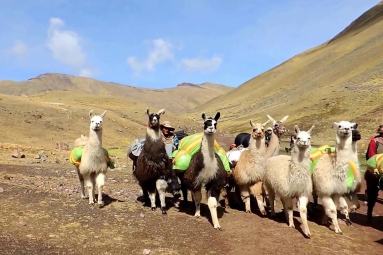 Desde Cusco: Rainbow Mountain Tour