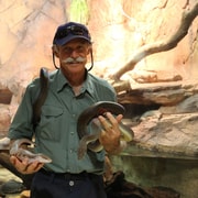 Darwin: Hop-On Hop-Off Bus, Crocosaurus Cove and RFDS Entry
