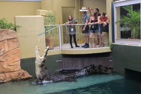 Darwin: VIP Crocosaurus Cove Experience