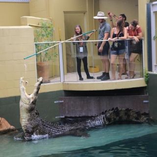 Darwin: Experiencia VIP en la Cala de los Crocosaurios