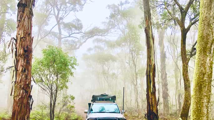sydney blue mountains jenolan caves and kanangra lookout
