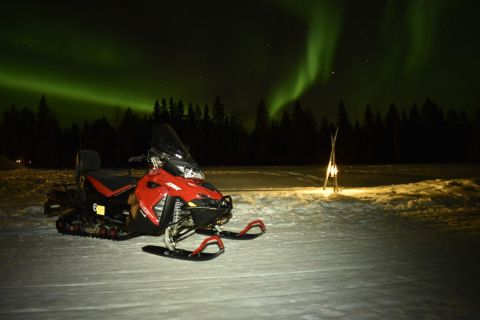 Rovaniemi: Safari notturno in motoslitta