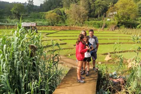 Ella: 9 Arch bridge, Ella Rock, & Little Adam’s Peak Tour