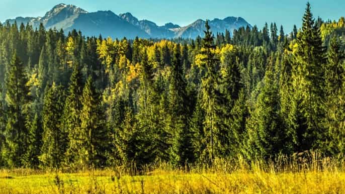 from krakow fullday private trip to zakopane