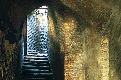 Unique 3-Hour Underground Walking Tour of Turin