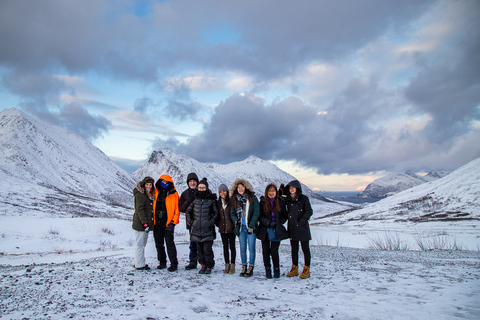 Depuis Tromsø : excursion au cœur de la nature arctiqueVisite en groupe avec 15 personnes au maximum