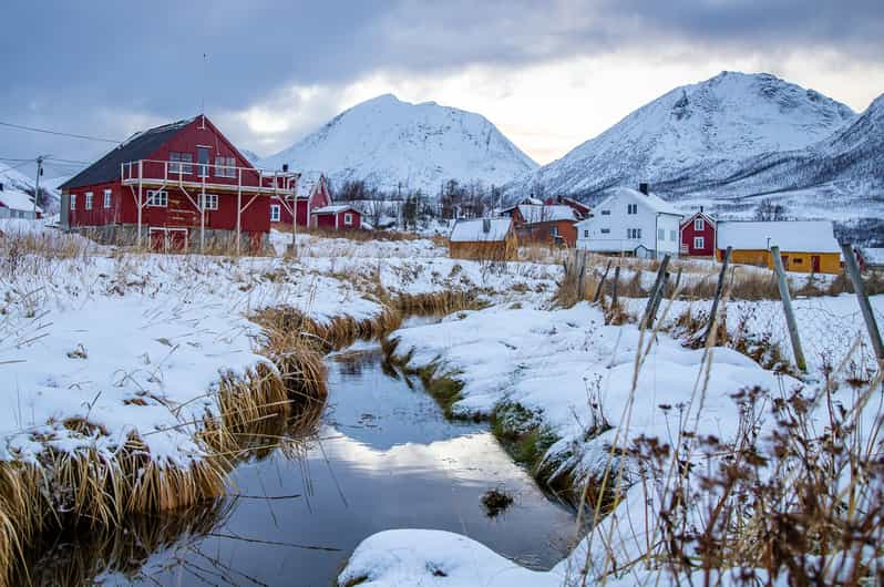 Ab Tromsø: Naurtour Durch Die Arktis | GetYourGuide