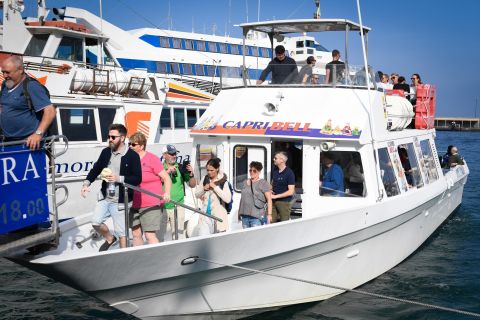Sorrento: Capri Mini Cruise Transfer Ticket