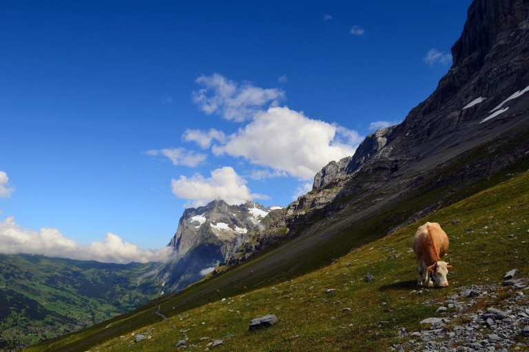 Grindelwald: 4-godzinna wycieczka z przewodnikiem