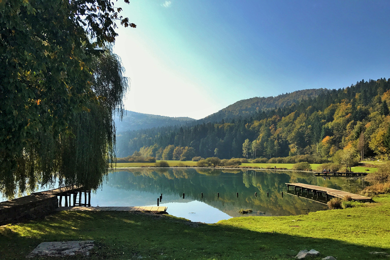 Ljubljana: Škocjan Caves, Rakov Škocjan & Marshes Tour