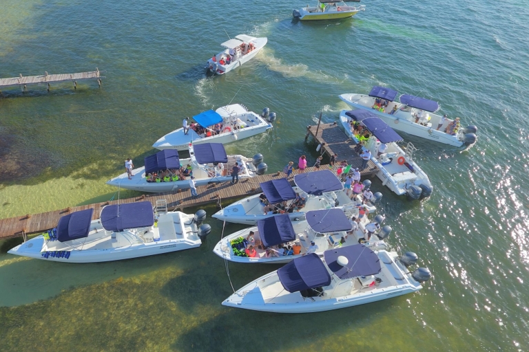 Cancun & Riviera Maya: Schwimmen mit Walhaien & Playa NorteTour ab Cancun & Isla Mujeres