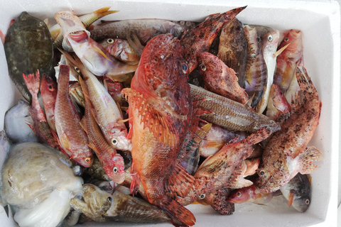 Zakynthos: Full-Day Traditional Eco-Fishing Tour with Food