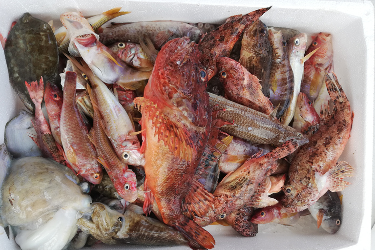 Zakynthos: Full-Day Traditional Eco-Fishing Tour with Food