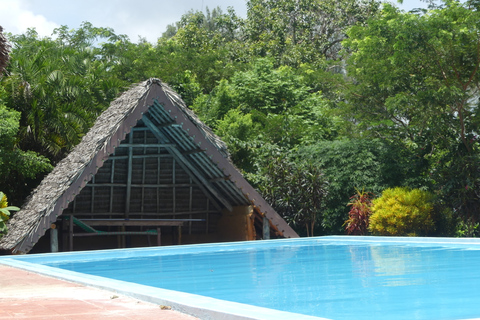 Zanzibar : parc national de Jozani et rencontre des dauphins